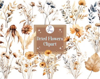 May include: A set of 59 watercolor illustrations of dried flowers and foliage in various shades of brown, beige, and cream. The illustrations are perfect for creating digital or printed designs, such as invitations, cards, and scrapbook pages.