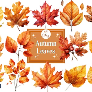 Watercolor Autumn Leaves Clipart: Fall Foliage PNG (Digital Download)