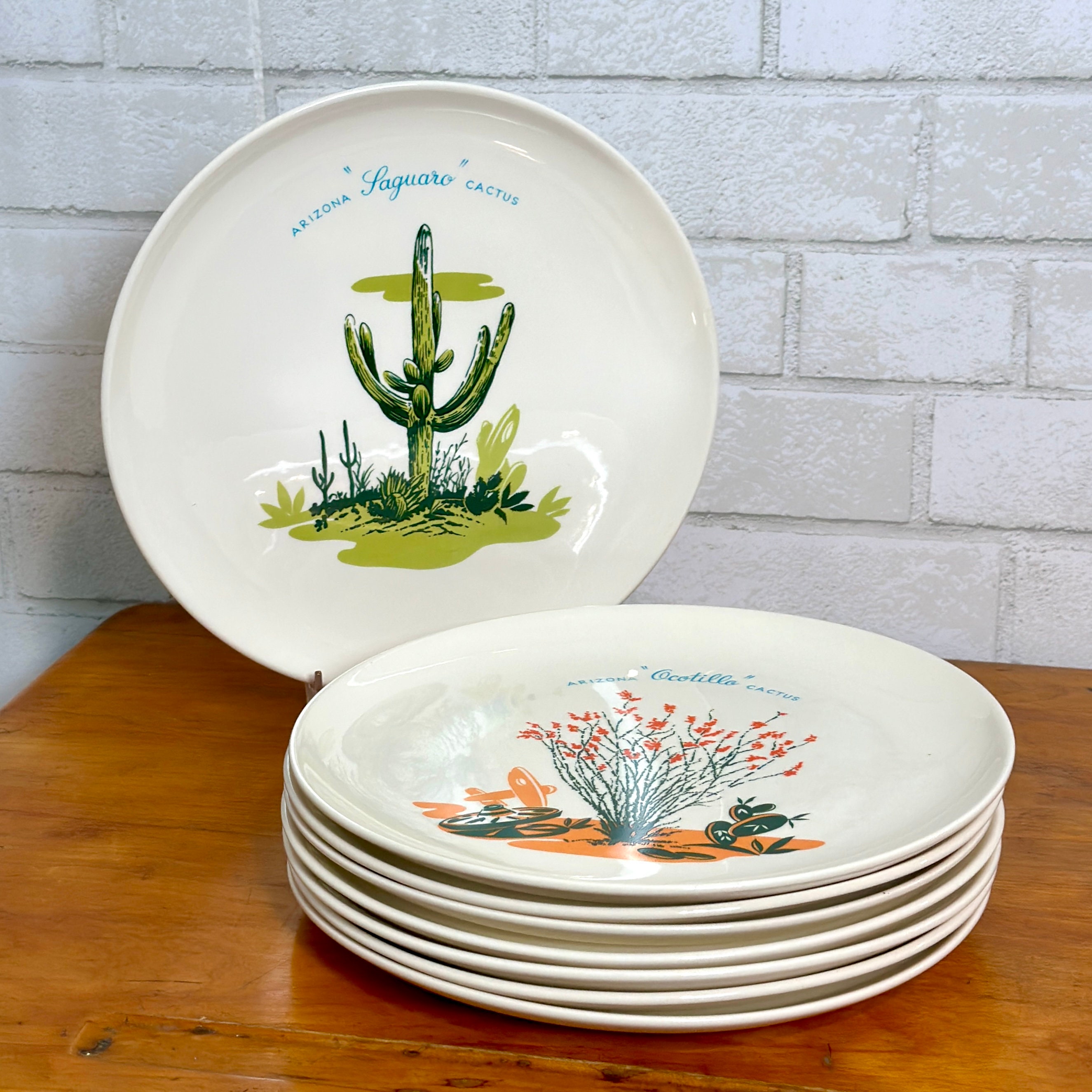 Complete Set of 8 Blakely arizona Cactus Dinner Plates in Perfect Condition RARE to Find a Full Set No Chips or Cracks All 8 Designs Etsy