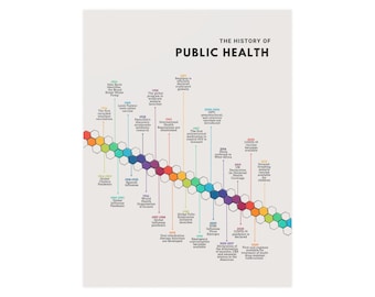 The History of Public Health - Satin Poster