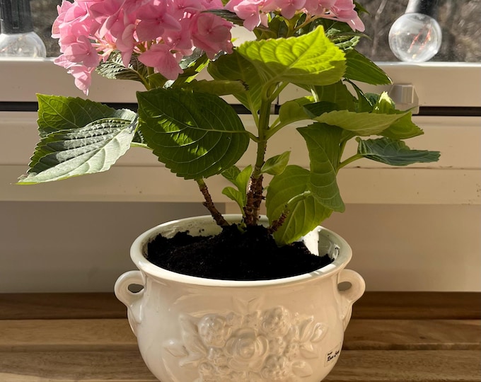 White vintage ceramic planter pot, Rosa Ljung, Swedish design