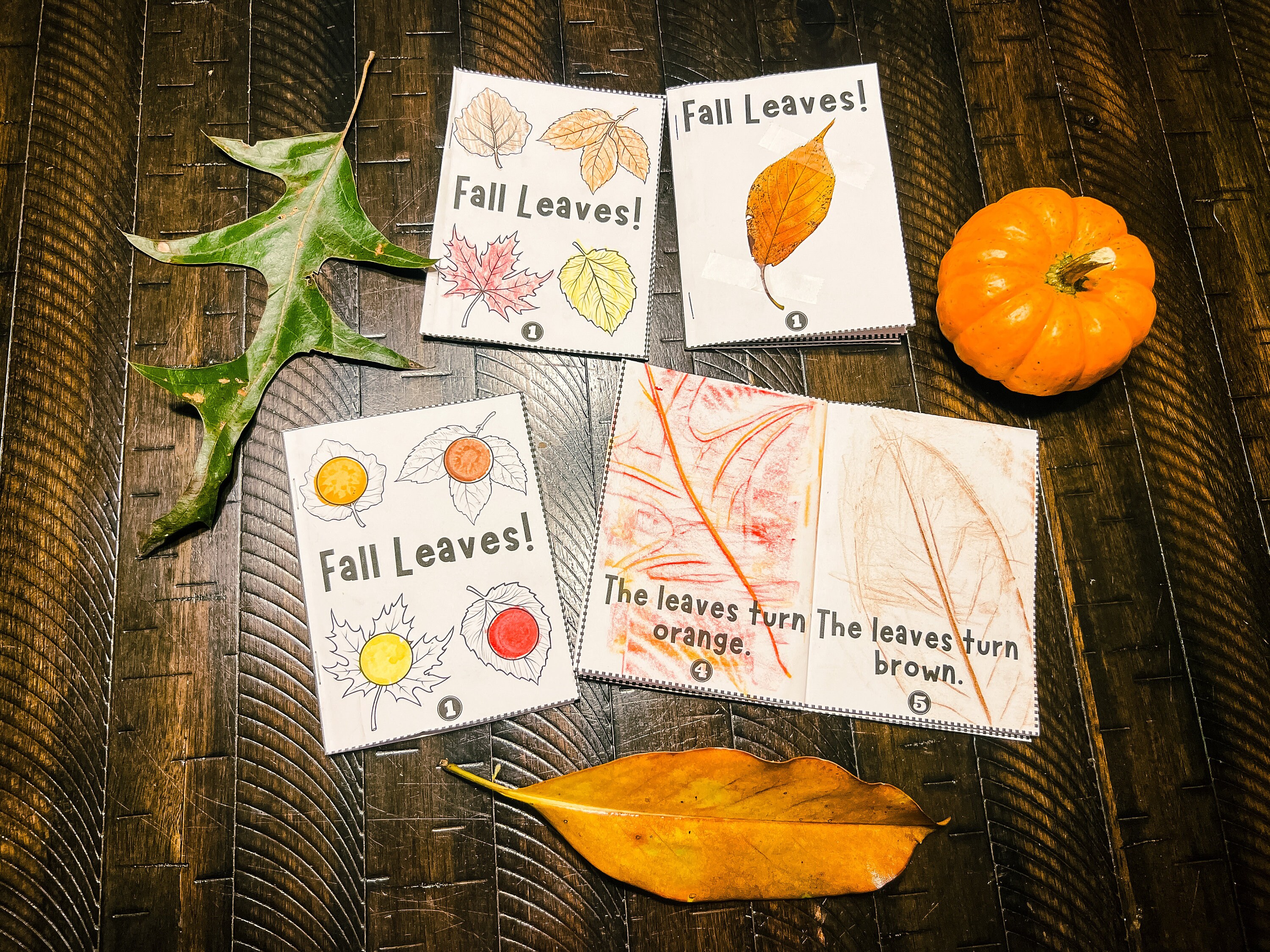 Fall Leaves Mini Book Kindergarten Printable | Fall Reading Activity ...