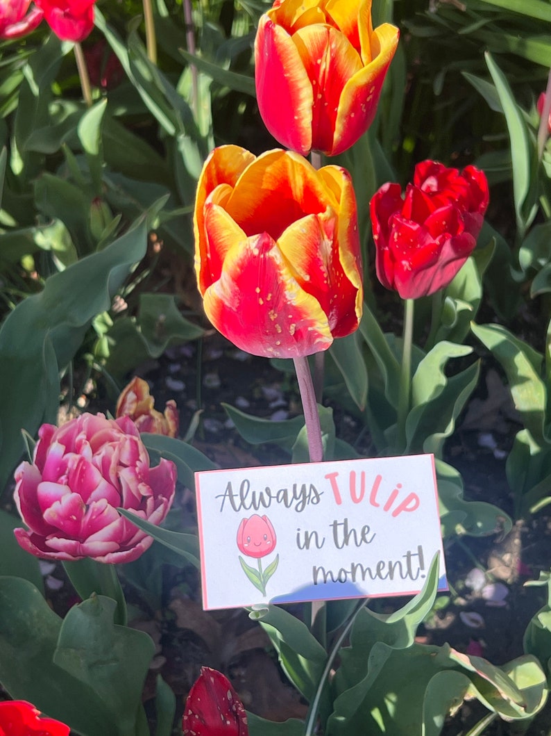 Garden Puns for Garden Lovers in the Spring. Text says, Always Tulip in the moment with an adorable image of a pink tulip.