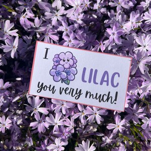 Spring and Garden pun card that says, lilac you very much with a picture of light purple lilacs.