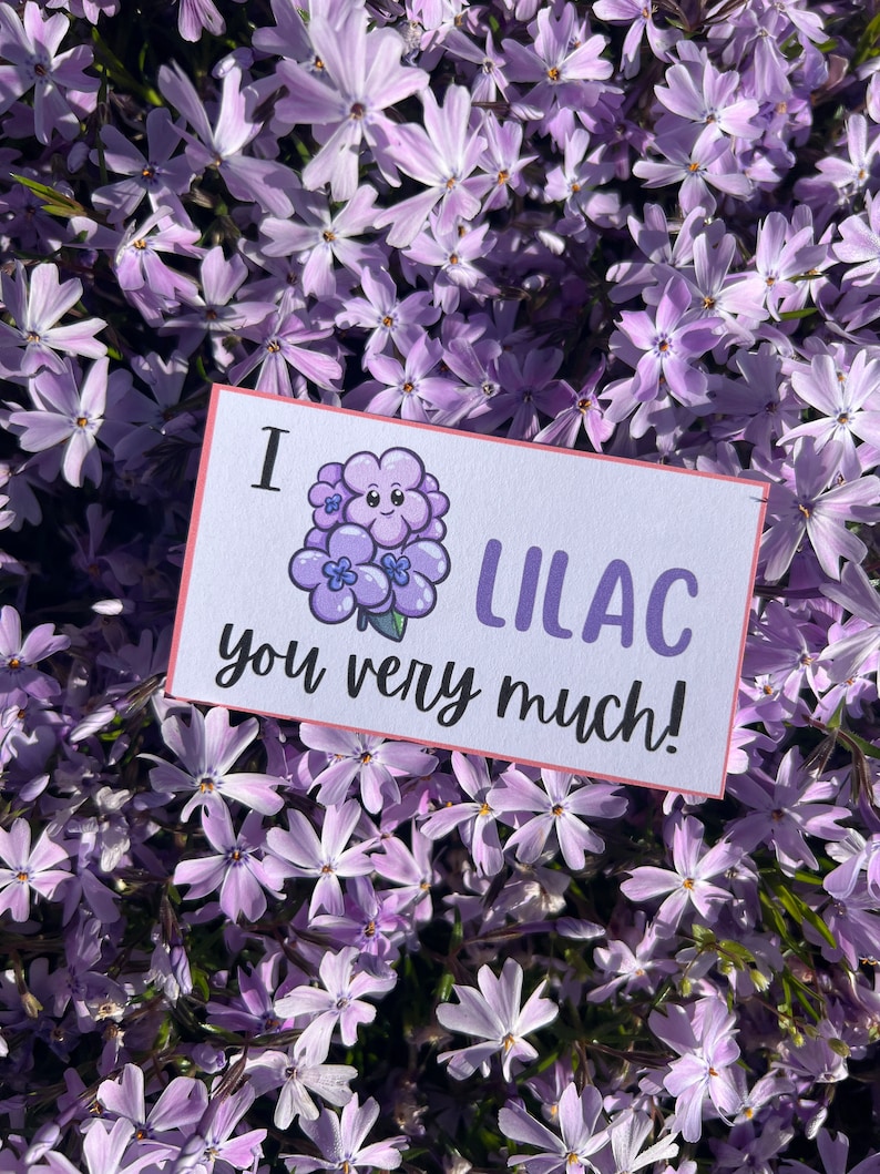 Spring and Garden pun card that says, lilac you very much with a picture of light purple lilacs.