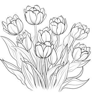 Tulips coloring page