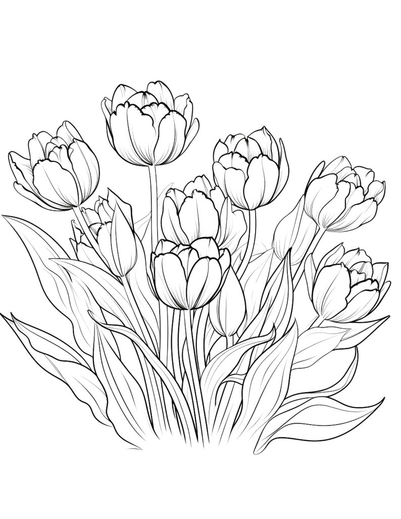 Tulips coloring page