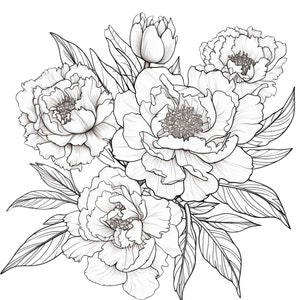 Peonies coloring page