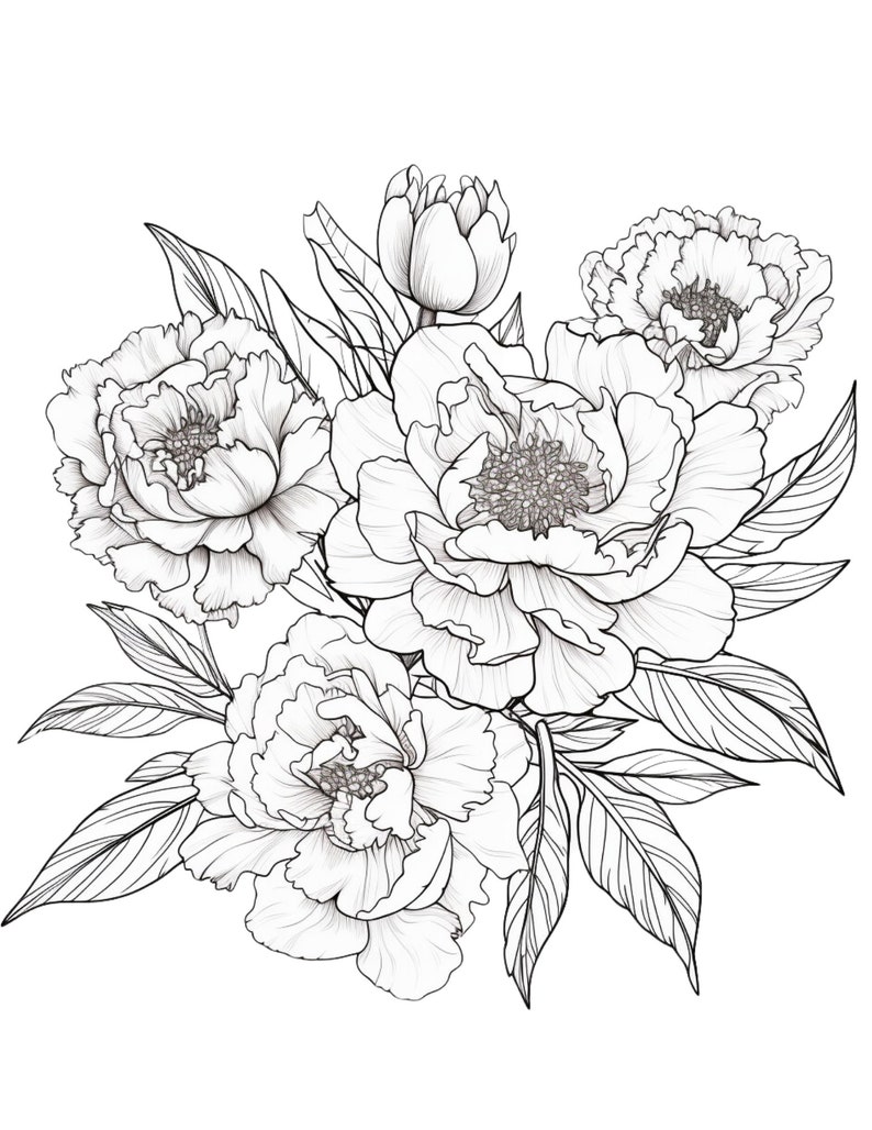 Peonies coloring page