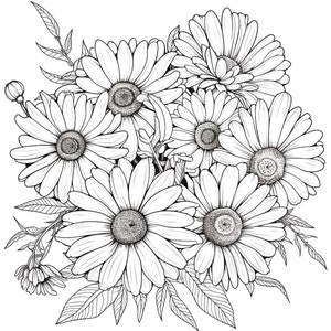 Daisies coloring page