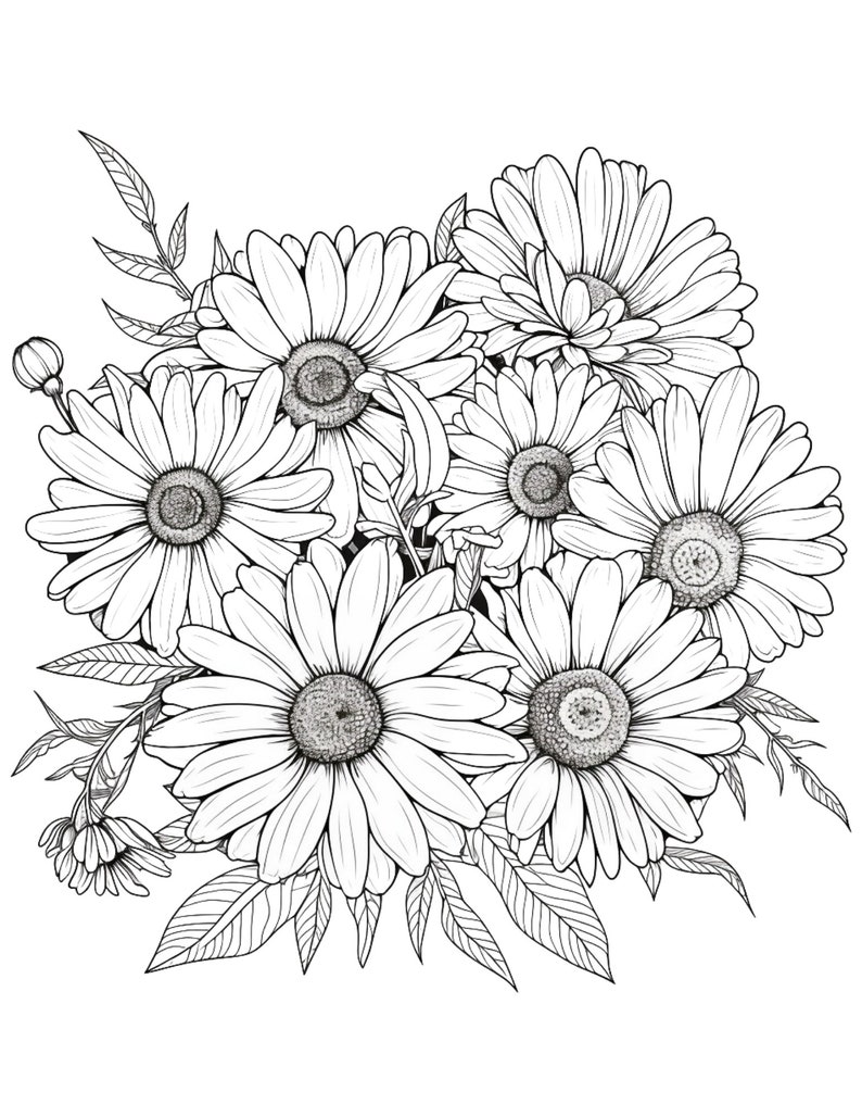 Daisies coloring page