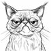 Grumpy Cat Coloring Pages Set 63 Designs Printable PDF Instant Download ...
