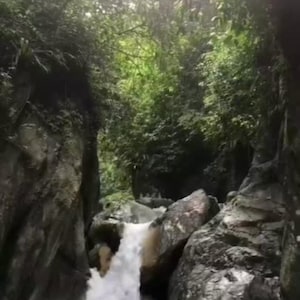 Nature Video Clips: 100 Scenic MP4 Stock Footage (Digital Download)