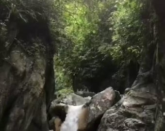 Vídeos de naturaleza: 100 vídeos escénicos MP4 (descarga digital)