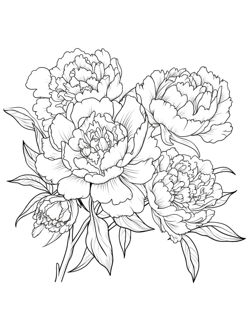 Peonies coloring page