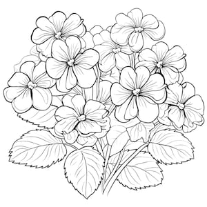Violets coloring page