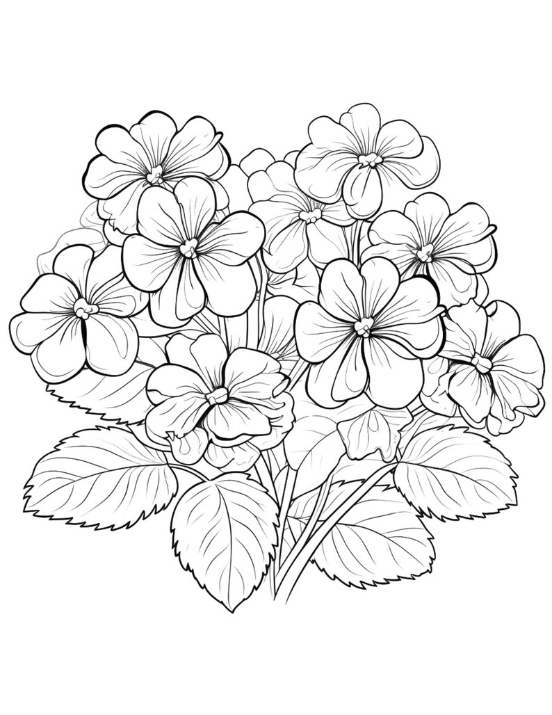 Violets coloring page