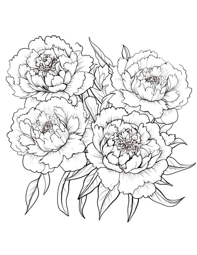 Peonies coloring page