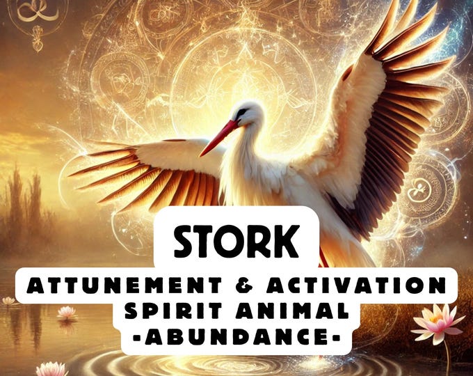 Stork Spirit Animal Attunement, Activation