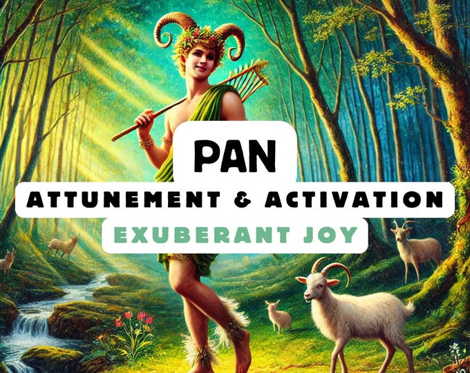 Pan Attunement & Activation , Spiritual Attunement, Cosmic Awakening , spiritual awakening