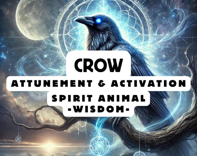 Crow Spirit Animal Attunement, Activation