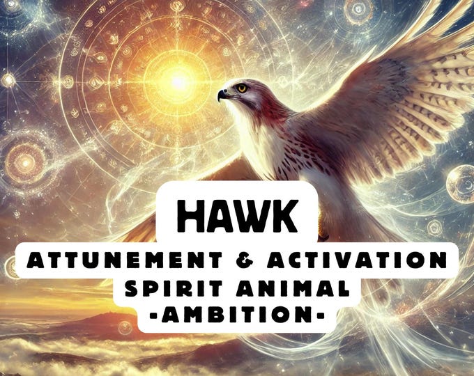 Hawk Spirit Animal Attunement, Activation
