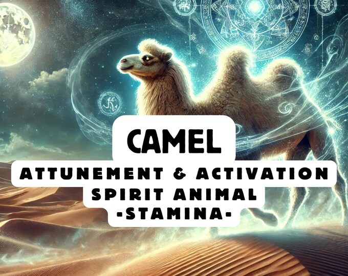 Camel Spirit Animal Attunement, Activation
