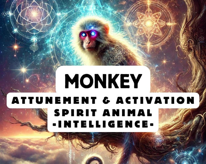 Monkey Spirit Animal Attunement, Activation