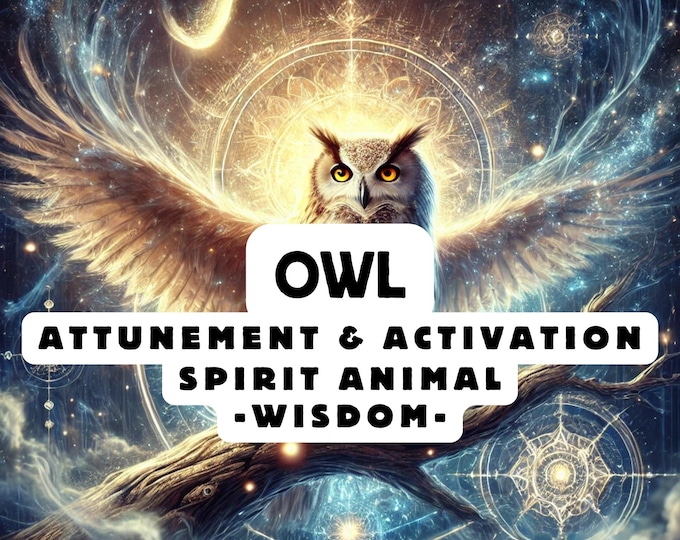 Owl Spirit Animal Attunement, Activation