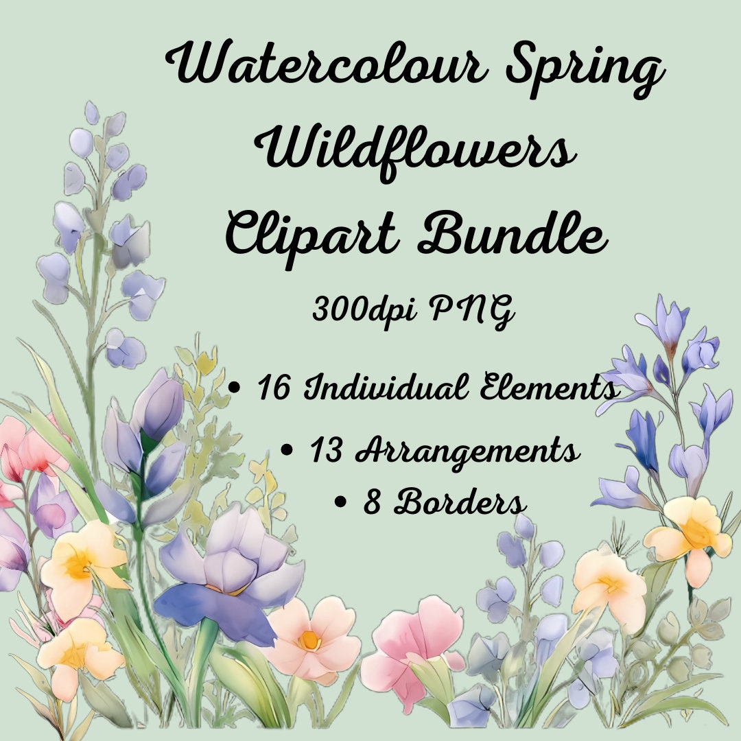 Watercolour Clipart Bundle - Spring Wildflowers - 300 Dpi Png's ...