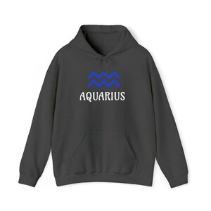 Unisex Heavy Blend Hooded Sweatshirt Aquarius Zodiac Versatile