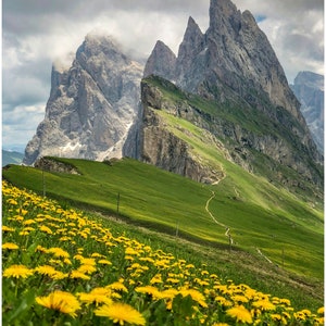 Printable Mountain Flower Scenery Art