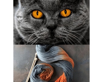 Hand Dyed Yarn, Indie Dyed Yarn, Sock Yarn, SW Merino Wool/Nylon, Cat inspired yarn with shades of gray and orange- British Blue
