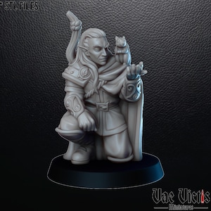 May include: A gray miniature figurine of a kneeling elf with long hair, a cape, and armor, holding a small animal. The figurine is on a black base. The text "STL FILES" is at the top left. The text "Vae Victis miniatures" is at the bottom right.