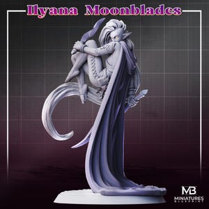 May include: A gray resin miniature figure titled Ilyana Moonblades, depicting an elf-like character with long hair, pointed ears, and glowing yellow eyes. The figure wears a cape and laced leggings, holding a curved blade while in a dynamic pose.