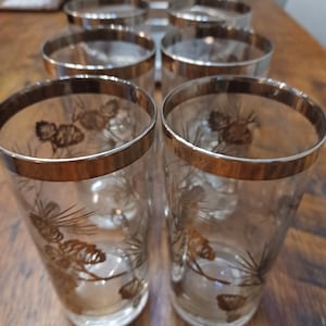 Vintage Silver Pine Cones Pine Needles and Leaves Highball Glasses Set of 6 Silver Band on Rim 1960s