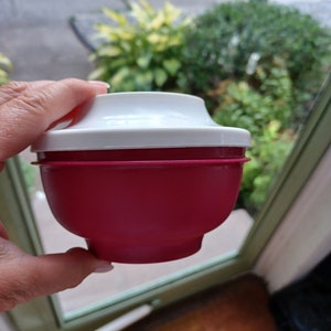 Vintage Tupperware Serve N Seal Oriental Bowls