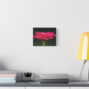 Matte Canvas, Stretched, 1.25&quot;
