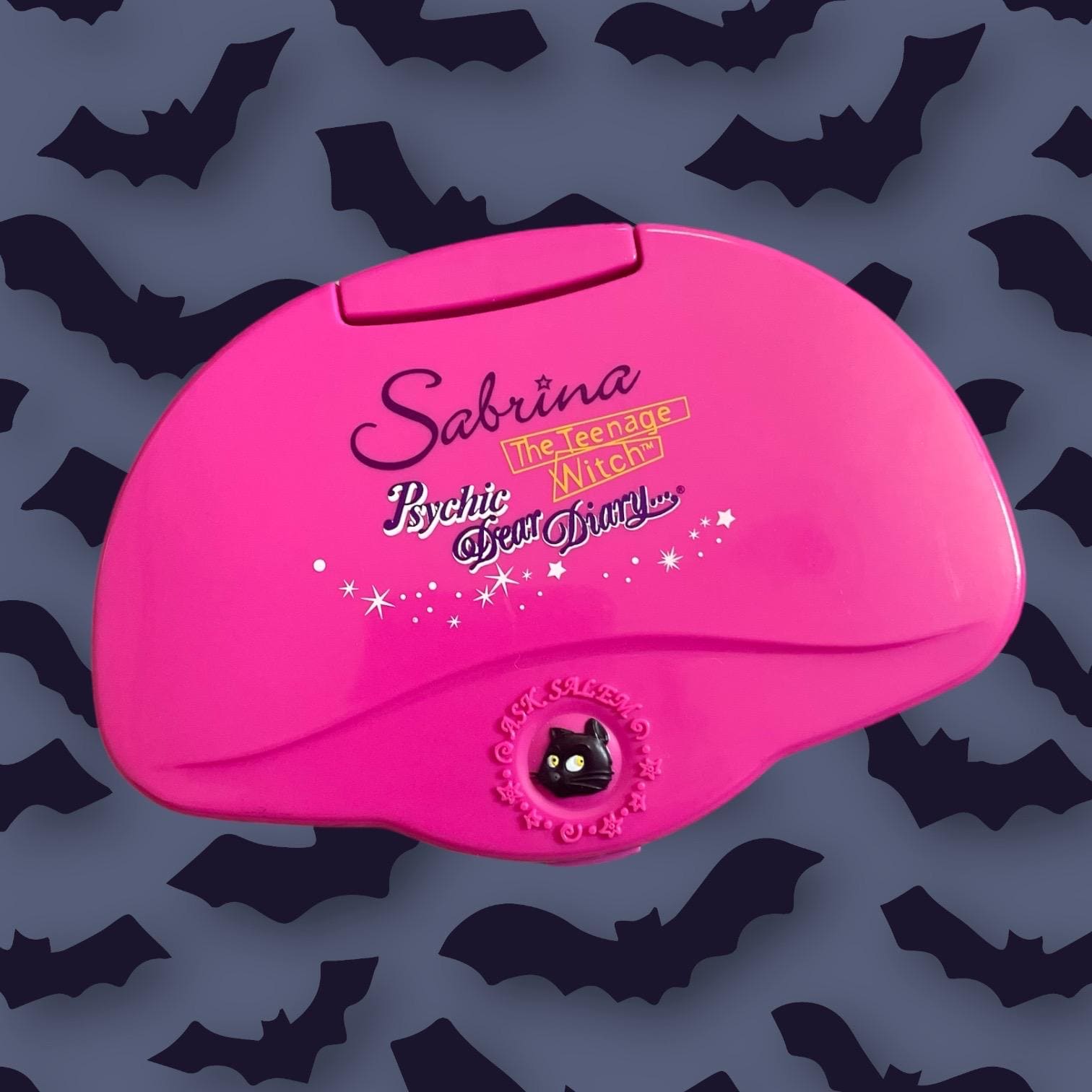RARE Vintage 90s Sabrina the Teenage Witch Psychic Handheld Diary