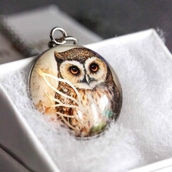 Cabochon Hibou