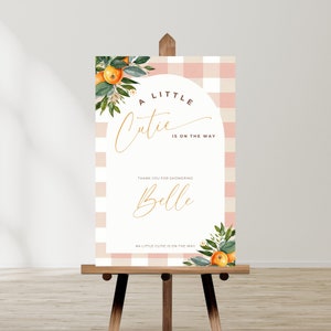 a little cutie is on the way baby shower welcome sign, party Decor, Gender Neutral, citrus, gingham,  Printable, Editable canva Template,