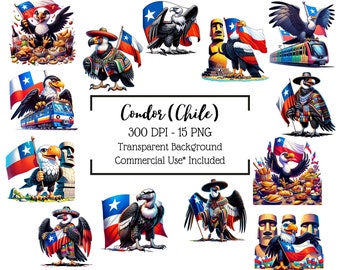 Condor Clipart - Soaring Spirit of Chile, Jungle Theme Clipart, National Animal, National Flag,  Chile Culture, Exotic Decor, 15 PNGs