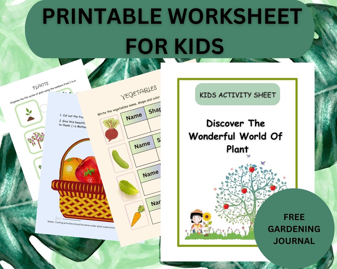 Printable Activity Sheet for Kids Learn About Plants - Etsy
