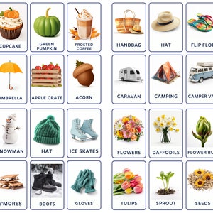Flashcard Bundle of Seasons Bundle comprend l’automne, le printemps, l’été, l’hiver et la météo, téléchargement numérique instantané, pour un usage commercial