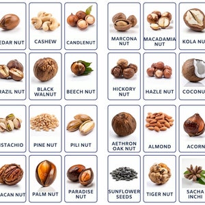 NUTS (echte Bilder) 32 bearbeitbare Montessori-Karten, Lernkarten Nomenklatur Lernkarten PDF Druckbare Karten Montessori Spielzeug Vorschule