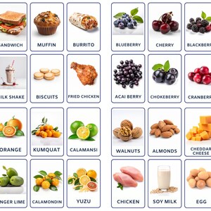 Flashcard Bundle of Foodie's Paradise Bundle comprenant des baies, des noix, des aliments protéinés, de la restauration rapide, des agrumes et des légumes, un usage commercial