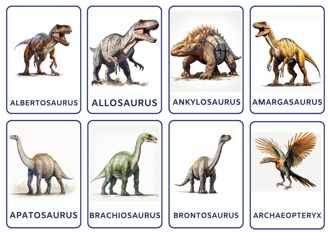 Flashcard Bundle of Animals and Creatures Bundle Includes Kids ...