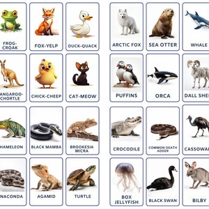 Bundle of Animal Flashcards, Arctic, African, Amphibians and Reptiles, and Australian Creatures, Instant Digital Download
