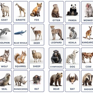 Discover 32 Mammals With Our Montessori Flashcards. Printable PDF Cards for Interactive Learning. Perfect for Educational Activities