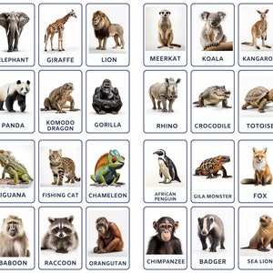 32 Zoo Animals Flashcards, Kids Printable, Nomenclature Cards, Toddler Activity, Montessori Cards, Cards for Preschool